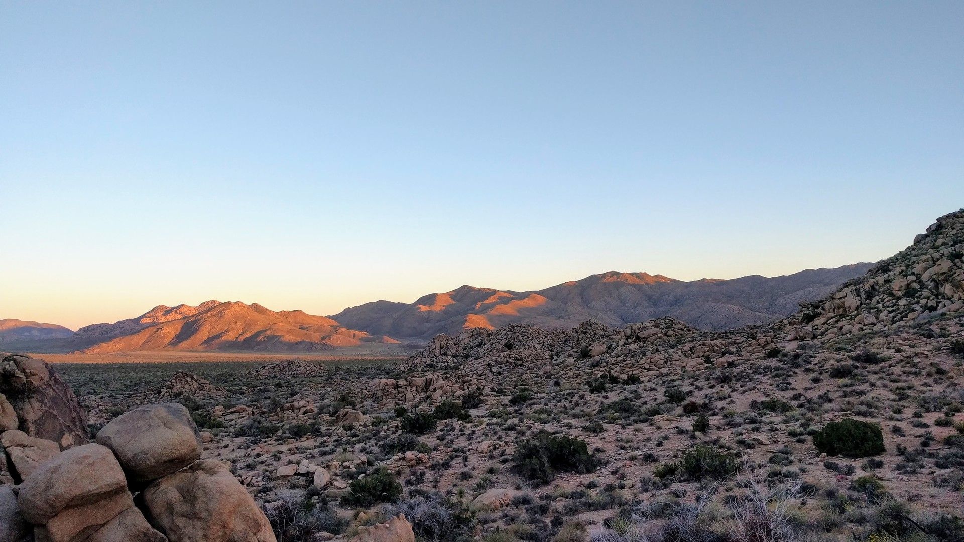 Day 18, Joshua Tree